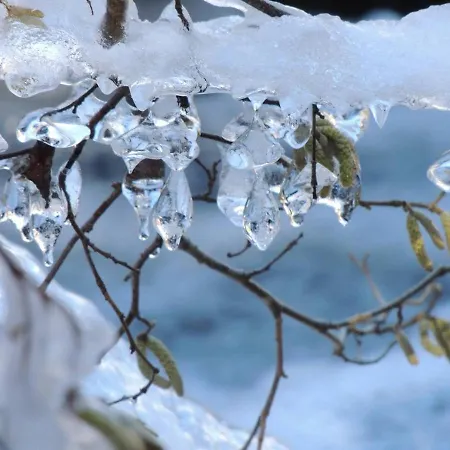 2/4 Pers Pres Centre - Fr-1-234-281 Apartment *